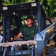 Stump Grinding